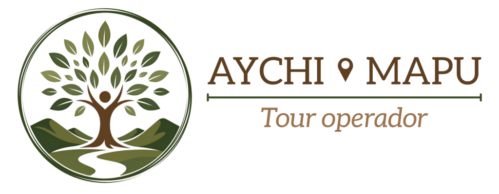 aychimapu.cl